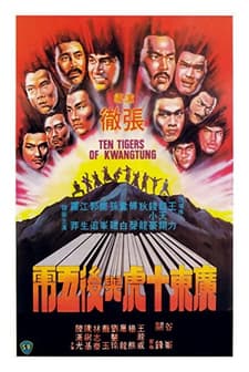 The Ten Flying Tigers (1980) afişi