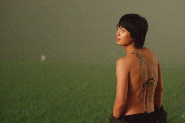 Turtle Run fotoğrafı