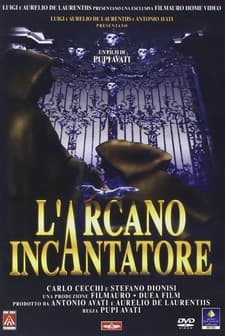 L'arcano Incantatore (1996) afişi