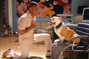 Çılgınlar Gemisi fotoğrafı