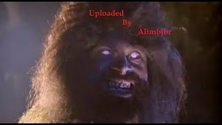 Purani Haveli fotoğrafı