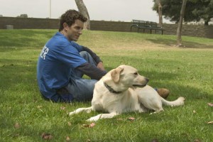 Köpek Severler Senfonisi fotoğrafı