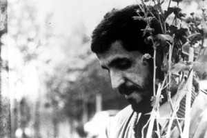 Yakın Plan fotoğrafı