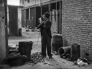 Yumurcak Fotoğrafı