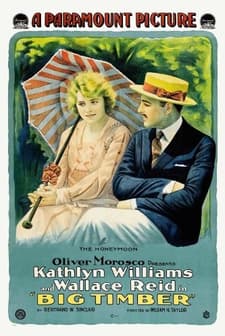 Big Timber (1917) afişi