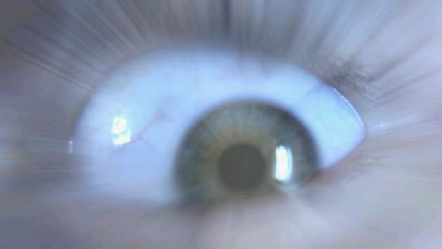 Yukarı Bakma Fotoğrafı