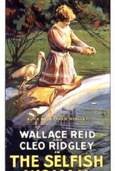 The Selfish Woman (1916) afişi