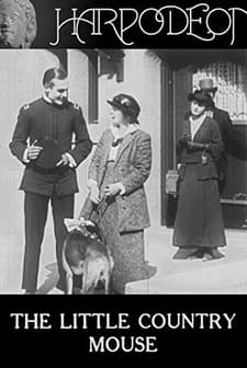 The Little Country Mouse (1914) afişi
