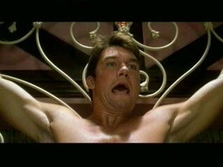 Mart Kedileri fotoğrafı