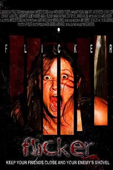 Flicker (2009) afişi