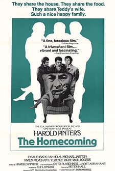 Eve Dönüş (1973) afişi