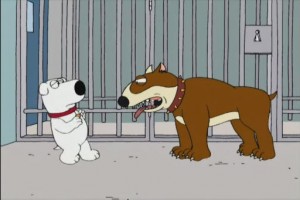 Family Guy Fotoğrafı