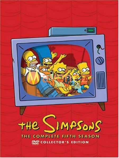 Simpsonlar Fotoğrafı