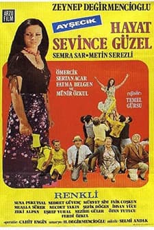 Hayat Sevince Güzel (1971) afişi