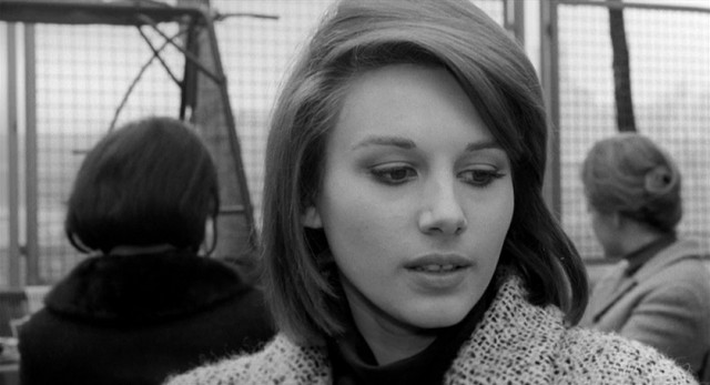 Fist In His Pocket Fotoğrafı