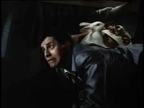 Geyşa çocuk fotoğrafı