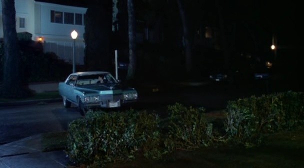 Sürücü Ehliyeti Fotoğrafı