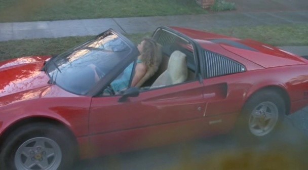 Sürücü Ehliyeti Fotoğrafı