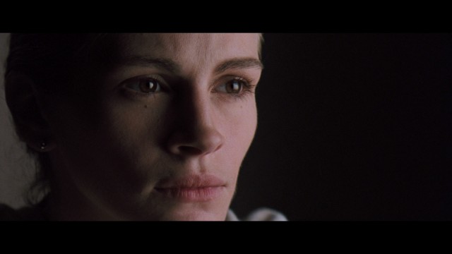 Pelikan Dosyası Fotoğrafı