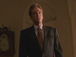 Pelikan Dosyası Fotoğrafı