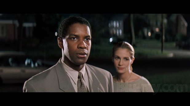 Pelikan Dosyası Fotoğrafı