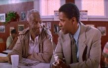 Pelikan Dosyası Fotoğrafı