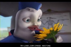 Kahraman Güvercin Fotoğrafı