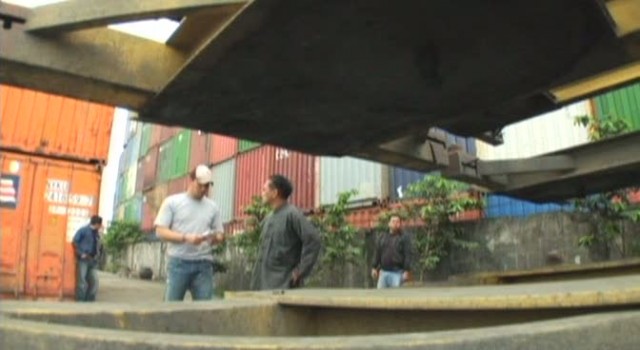 Papağan fotoğrafı