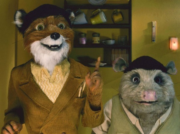 Yaman Tilki Fotoğrafı