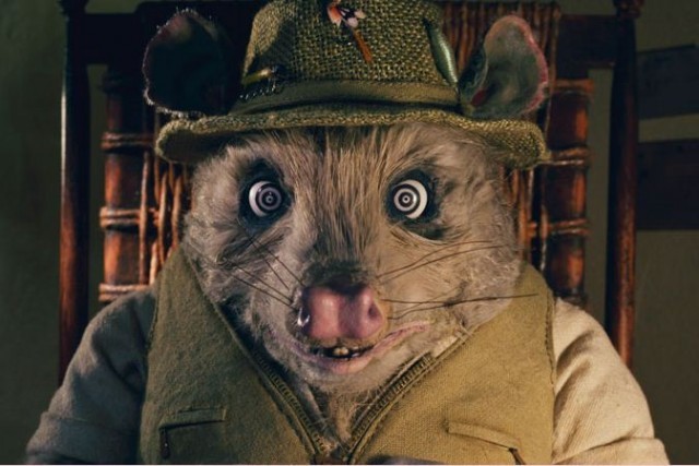 Yaman Tilki Fotoğrafı