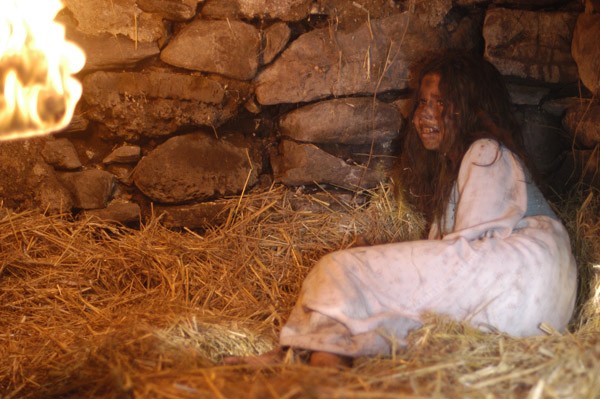 Gölgeler Ormanı Fotoğrafı