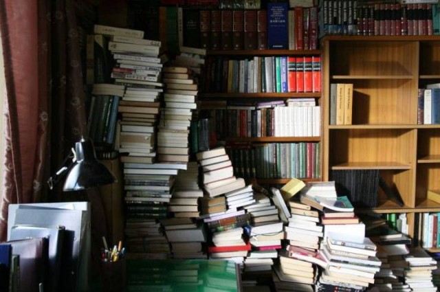 Summer Whispers fotoğrafı