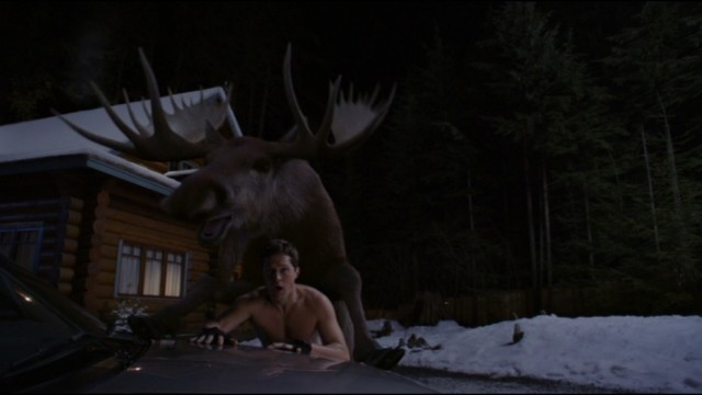 Amerikan Pastası 7: Aşk Kitabı fotoğrafı