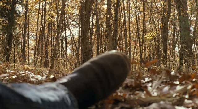 Still Waters Fotoğrafı