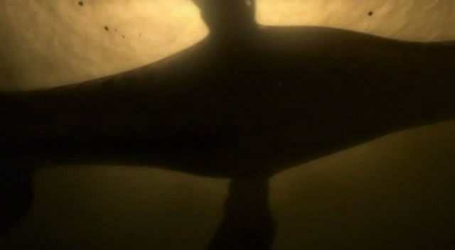 Dünyanın Merkezine Yolculuk Fotoğrafı