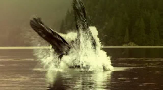 Dünyanın Merkezine Yolculuk Fotoğrafı