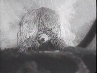 The Crawling Eye fotoğrafı