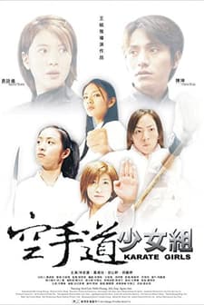 Kung Fu Girls (2003) afişi