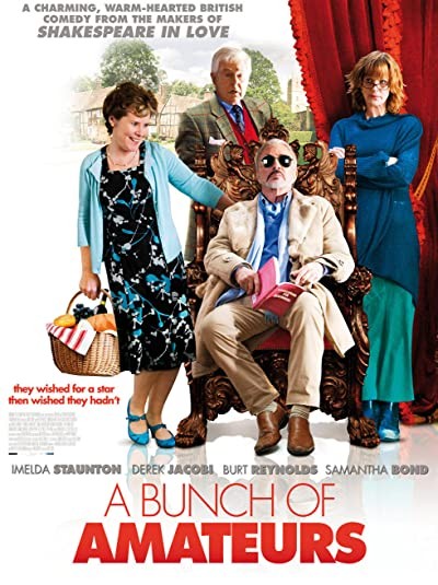 A Bunch Of Amateurs (2008) afişi