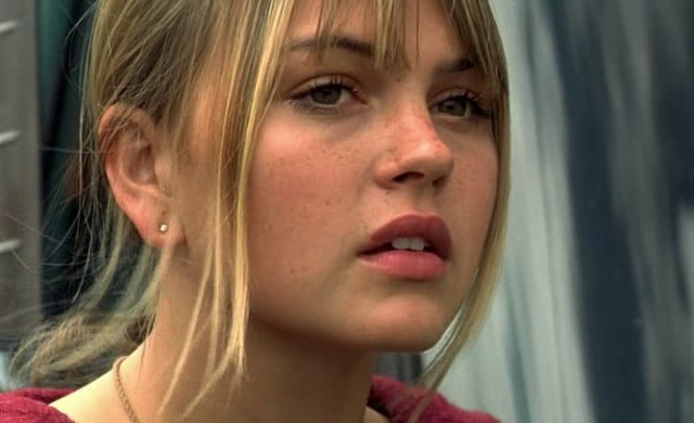 Beautiful Wave fotoğrafı