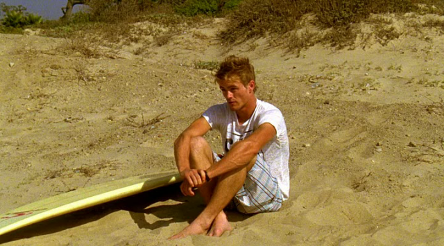 Beautiful Wave Fotoğrafı