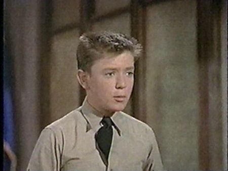 The Private War Of Major Benson fotoğrafı