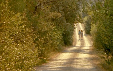 Sakin Yolculuk fotoğrafı