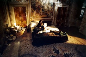 Vanilya Ve Çikolata Fotoğrafı