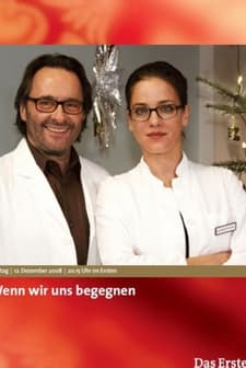 Wenn Wir Uns Begegnen (2008) afişi