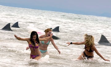 Bahar Tatilinde Dehşet fotoğrafı