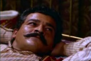 Ala Geyik Fotoğrafı