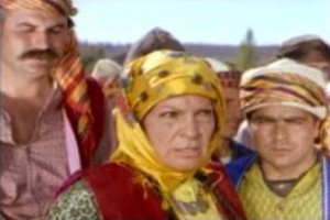 Ala Geyik fotoğrafı