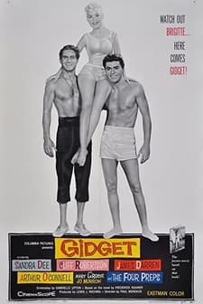Gidget (1959) afişi