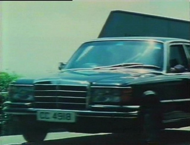 Yaban Kazları fotoğrafı